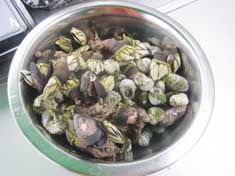 釣り３