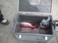 釣り５