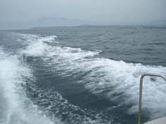 海