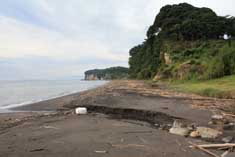 海岸清掃