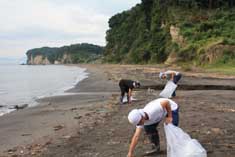 海岸清掃